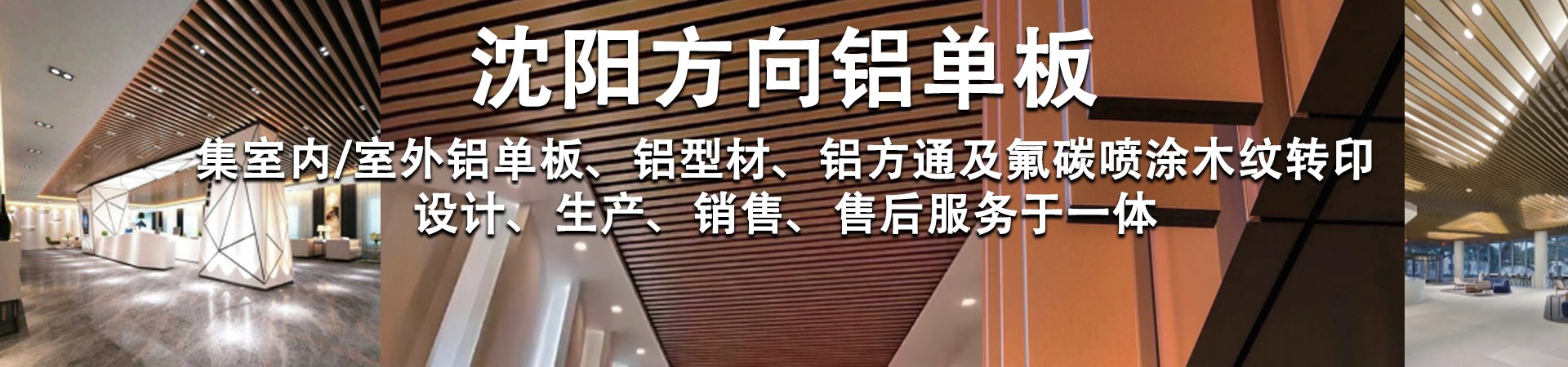 首页 - 推荐
